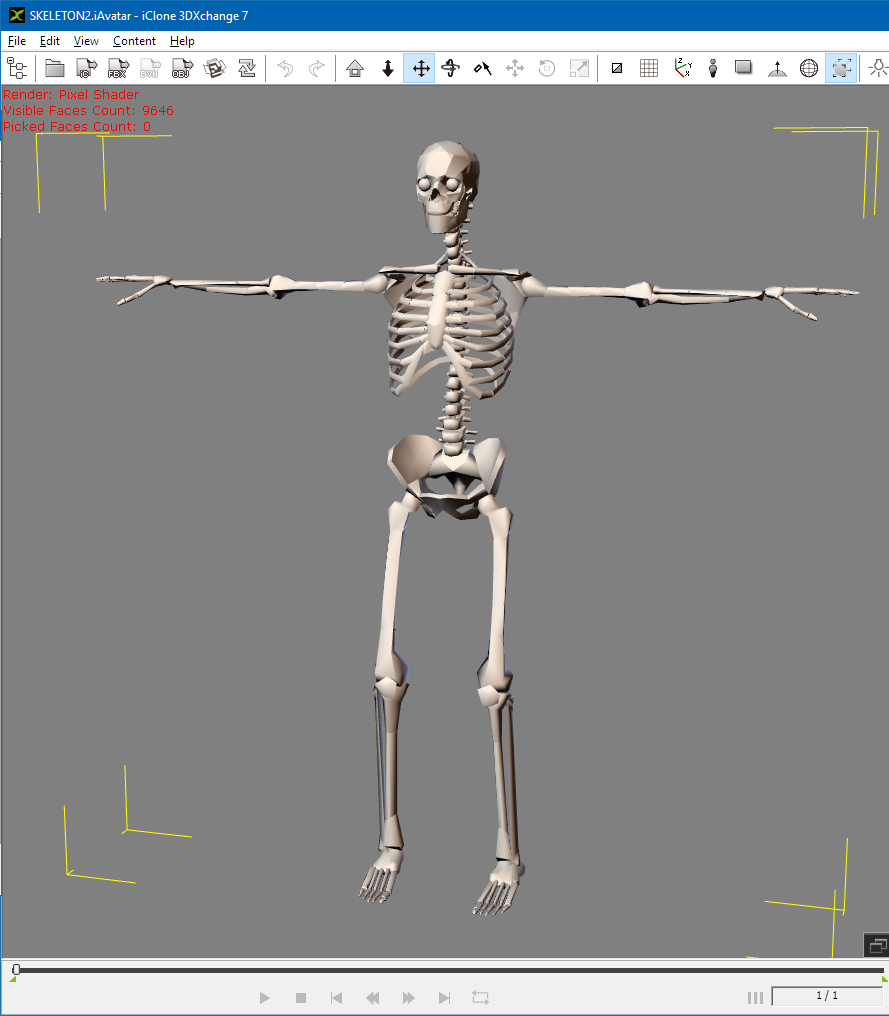 skeleton2