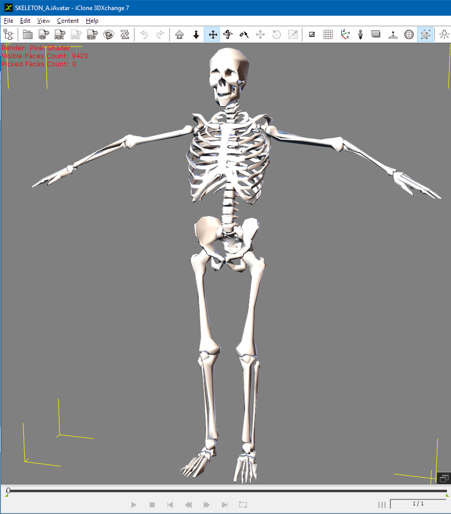 skeletona