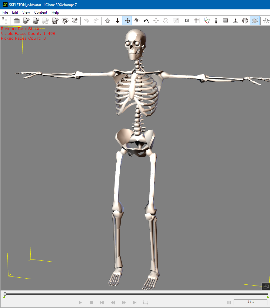 skeletonc